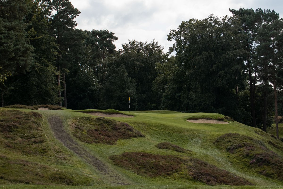 Cookie Jar Golf tweet media