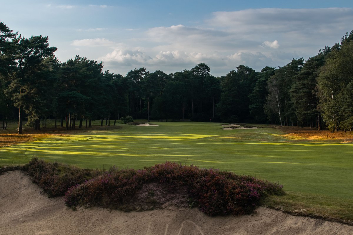 Cookie Jar Golf tweet media