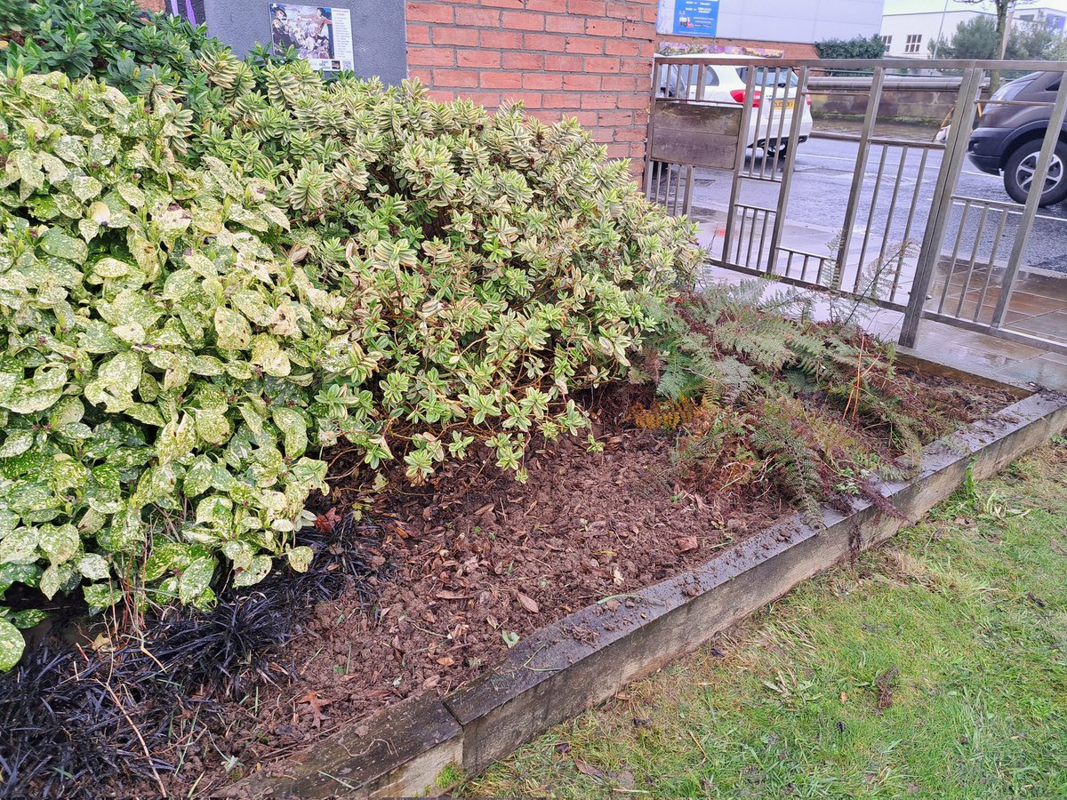 ConnsGreenway's tweet photo. Our March #VolunteerTaskDay continues on our #Focuson series as we tackle some weeds and litter picking at #CSLewisSquare π
We can already see the difference, removing the weeds that aren't useful but retaining those that are good for biodiversity ππ¦ https://t.co/2wDa3yCULQ