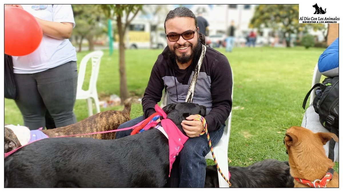 DiaAnimales's tweet photo. RT (HILO...⬆️) #SubaProtegeLosAnimales de la @AlcaldiaSuba11 - @JulianMorenoB, @DiazAngelik, #DeLaManoConSuba, #ClínicaVeterinariaVisiónColombia 👏.

📩 diaadiaconlosanimales@gmail.com - 📱 3015431628 - #AlDíaConLosAnimales -  @carlospopular ✍️ - #AdoptaNoCompres RT 📢✅. https://t.co/DFvsNQZEWq