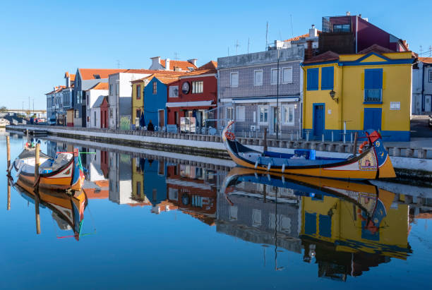 Looking for a PhD in animal behavior and cognition? Great (and funded) opportunity (x2) to work on decision-making and (mis)behaviour of animals🐦 in Portugal: euraxess.pt/jobs/83306 #Thesis #Science #behaviour2023 Bonus track: Aveiro is a gorgeous city!