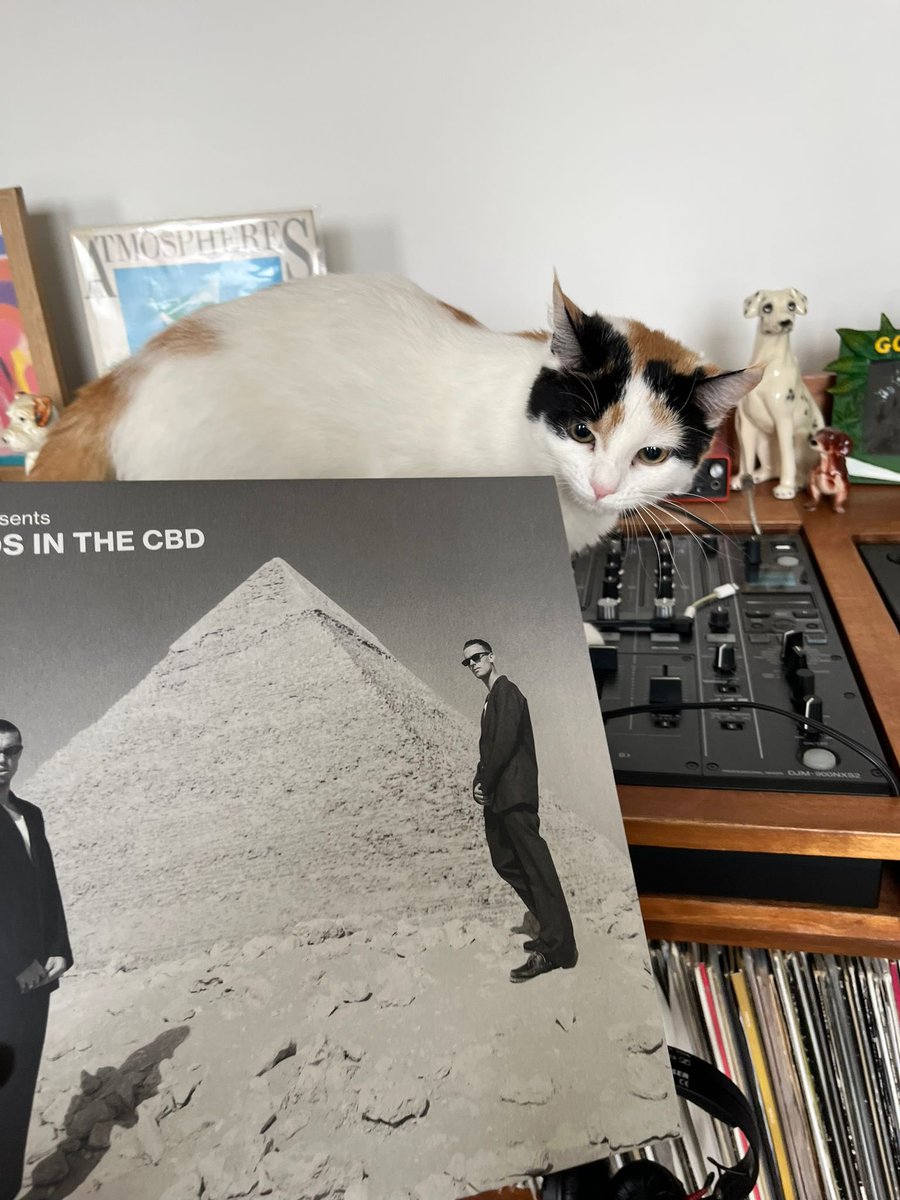 our <a href="/fabriclondon/">fabric</a> compilation is out now! thx to everyone that grabbed a copy 🥰😸

fabric.lnk.to/chaosinthecbd