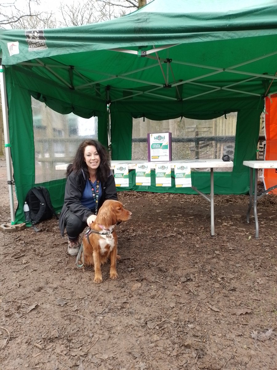 QueenswoodArb's tweet photo. It's all #Dog @ #Queenswoof. Join us all weekend. #HOH #Yora #PawsforThought display team. https://t.co/LNu9Hk6vQf