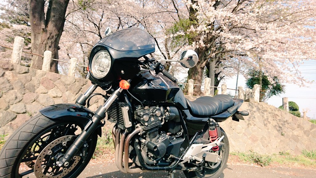 kkcb400sf's tweet photo. 一人で桜見ようツーリングした
もう緑でてきてる… https://t.co/QZXdvYcV20