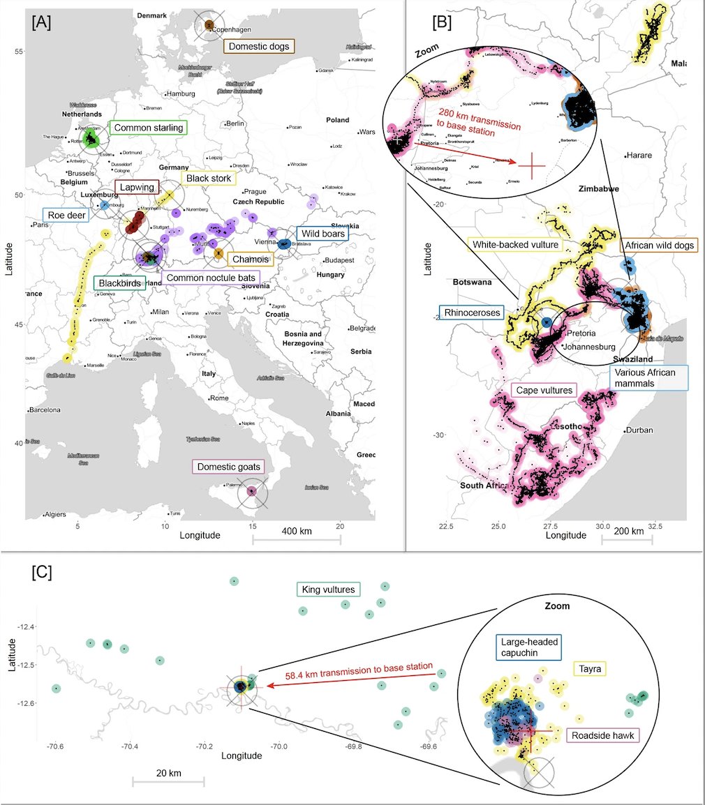 Roland Kays tweet media