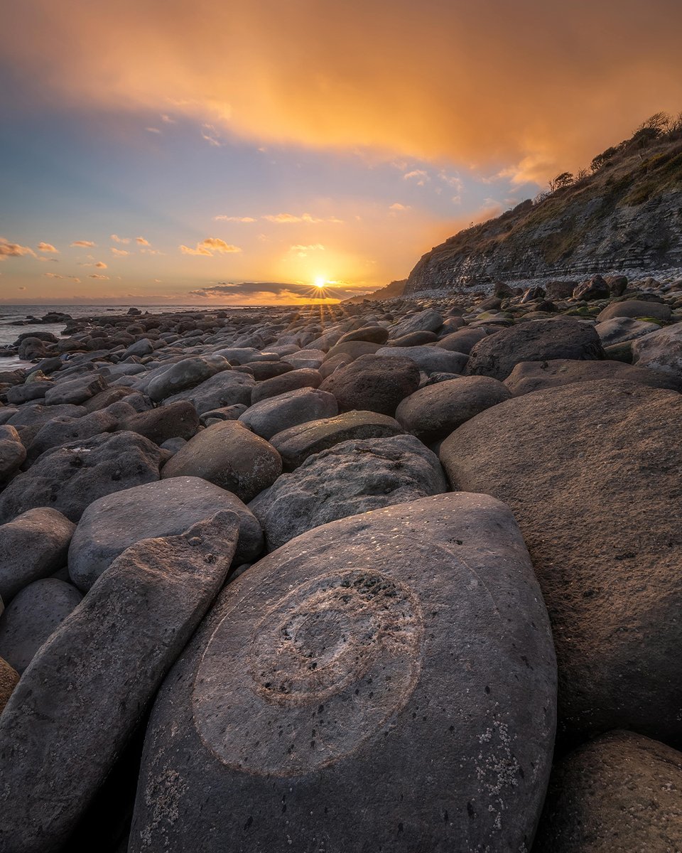 swcoastpath's tweet photo. The winner of the 'My Path' category in the South West Coast Path Photographer of the Year is James Loveridge for this exquisite shot at Lyme Regis.
π· James Loveridge
πSunset on the Ammonite Pavement, Lyme Regis, Dorset #swcp #photocomp #mypath #winningimage https://t.co/uO9lv1wb86