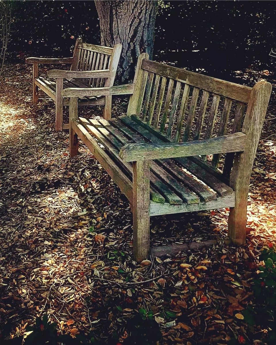 FarahnazZahidi's tweet photo. Word of the day: #Bench. ;)
Post your most recent bench photography in comments.
#bench #Pakistan #politics #judiciary #phonephotography #latergram #huntington #southerncalifornia #igram #California #LosAngeles https://t.co/Tz6dhcVXAj
