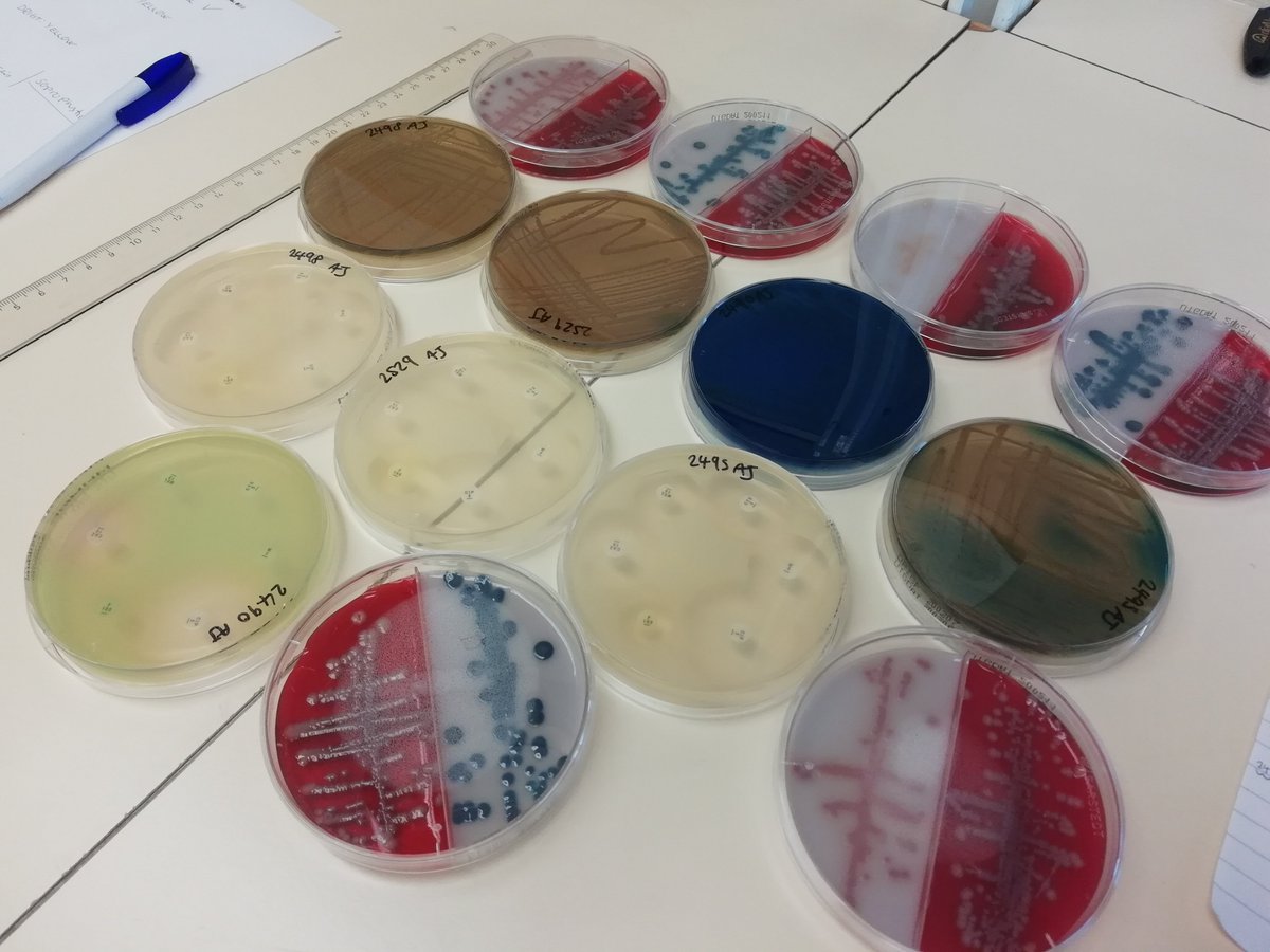 HGSA Science tweet media