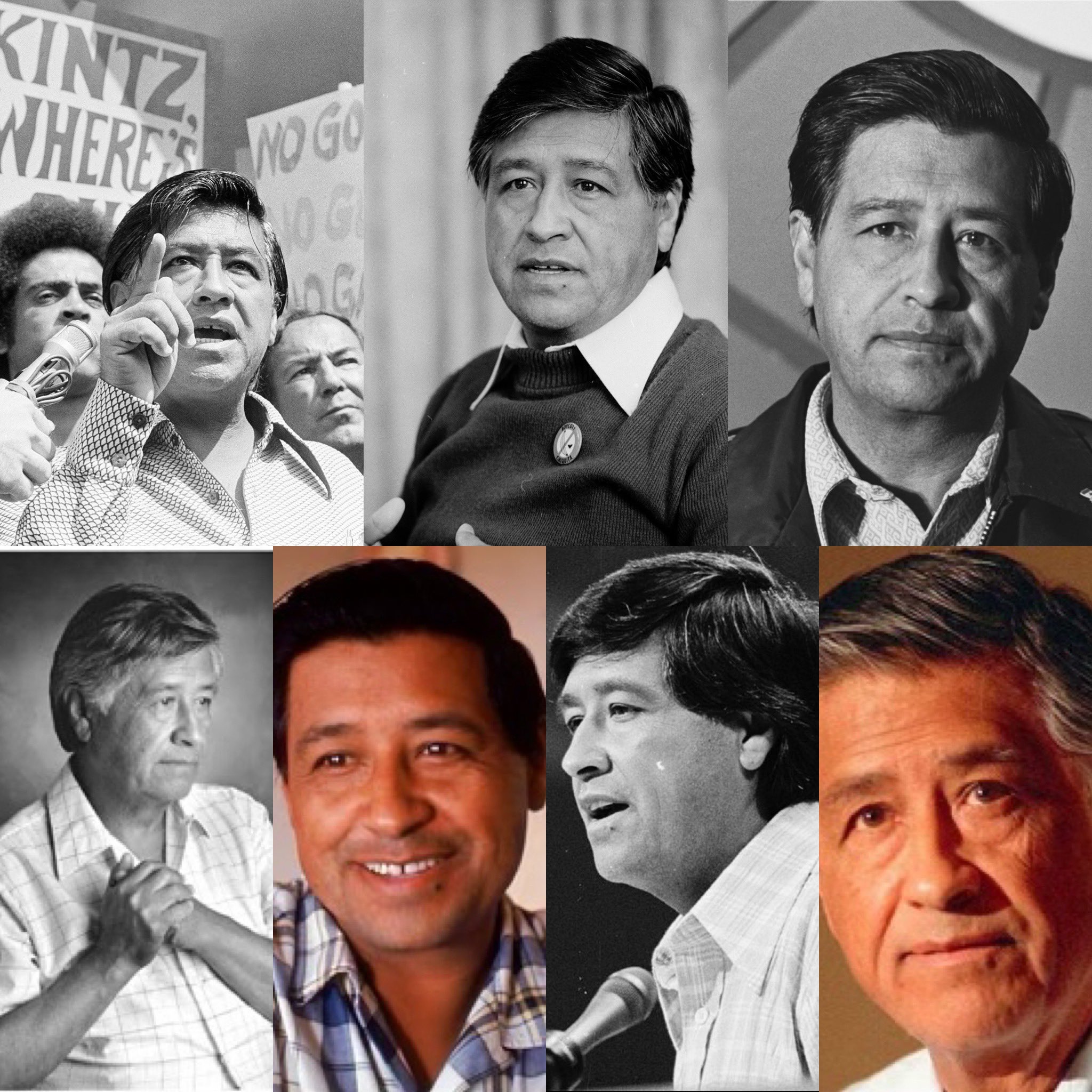 Happy Birthday Caesar Chavez and Al Gore   