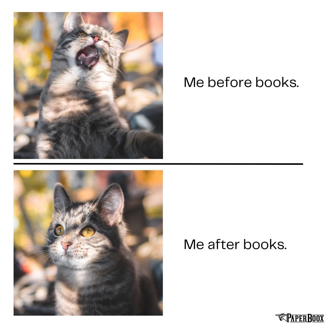 paperboox's tweet photo. "Escaping reality, one page at a time 📖✨ https://t.co/GQQPcZKuja
