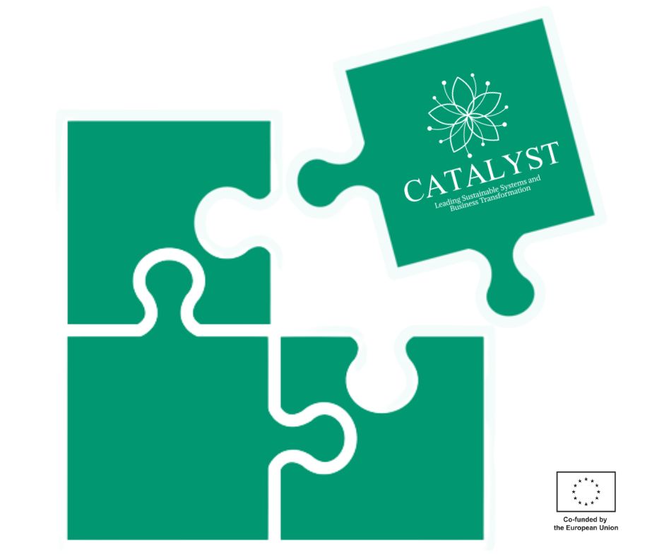 CATALYSTProjec4's tweet photo. "Mapping and Skills Forecast Report", maps the dominant European and national policies, sectoral trends and best practices in North Macedonia, Germany, Austria, Portugal and Greece. 

Read the conclusions from this comprehensive report here: https://t.co/wcgP7d7apO
#catalyst https://t.co/4M04TzK8j5