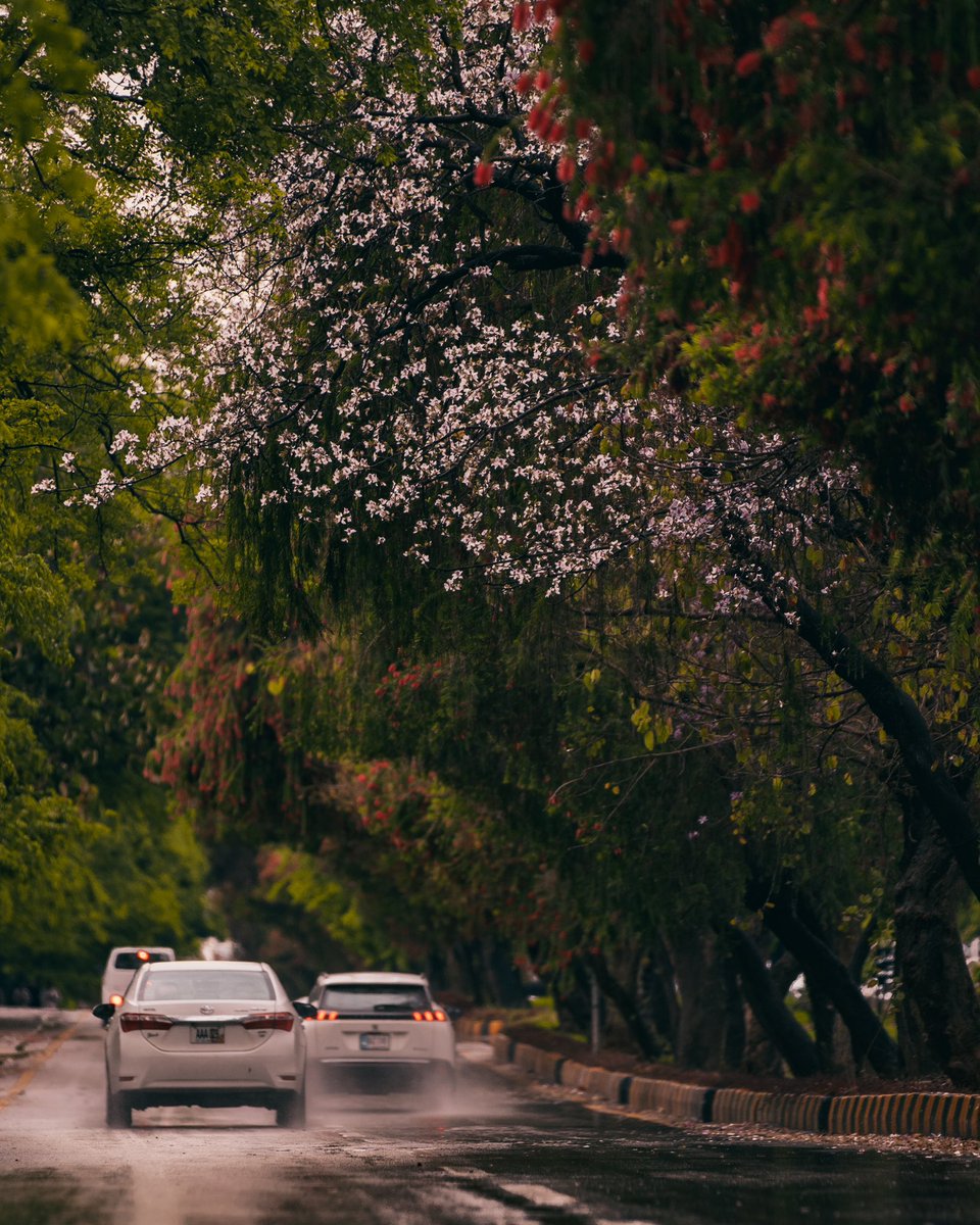 ozairarts's tweet photo. Islamabad today! 

#Islamabad https://t.co/bNFp1SXtVj