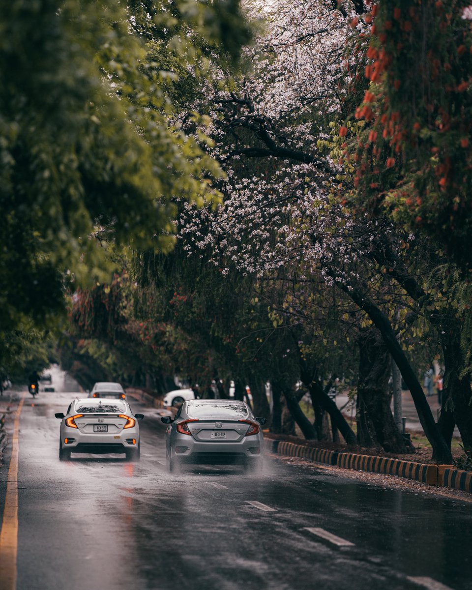 ozairarts's tweet photo. Islamabad today! 

#Islamabad https://t.co/bNFp1SXtVj