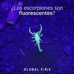 Photo by Global París (@GGlobalParis)