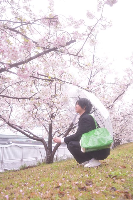 ⚠︎︎コスプレハイキュー!! 山口忠❀見上げる桜雨❀camera :  