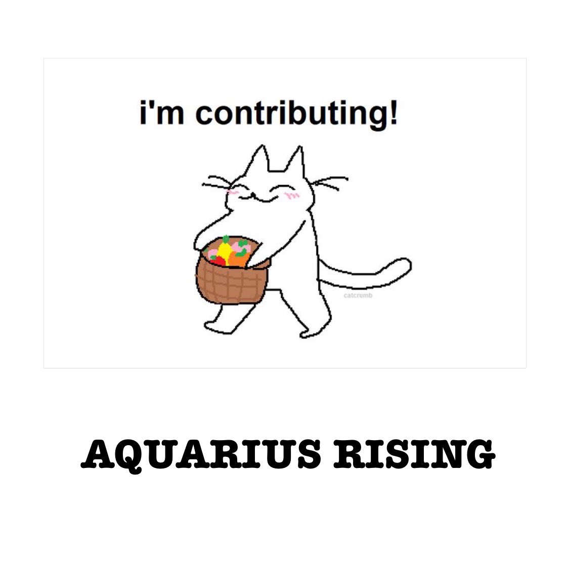 Christian P. tweet media