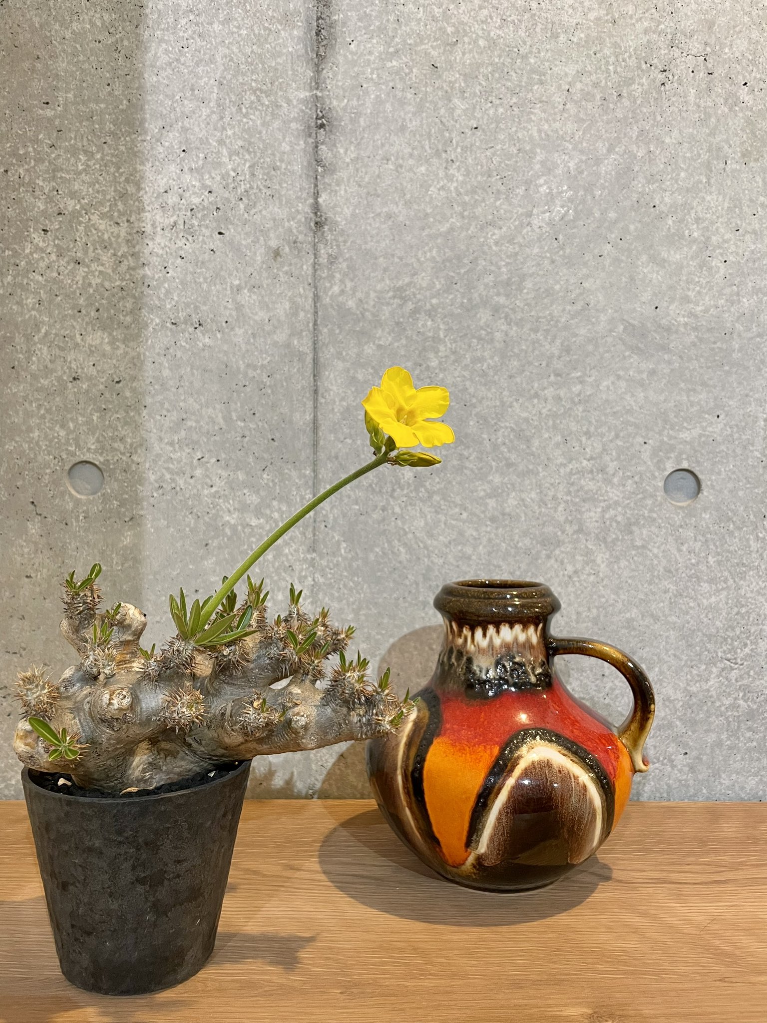 moonbirdsvintage (@moonvin0607) / X