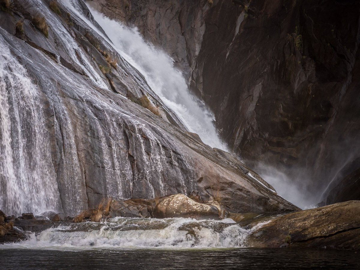 iviewpoint tweet media