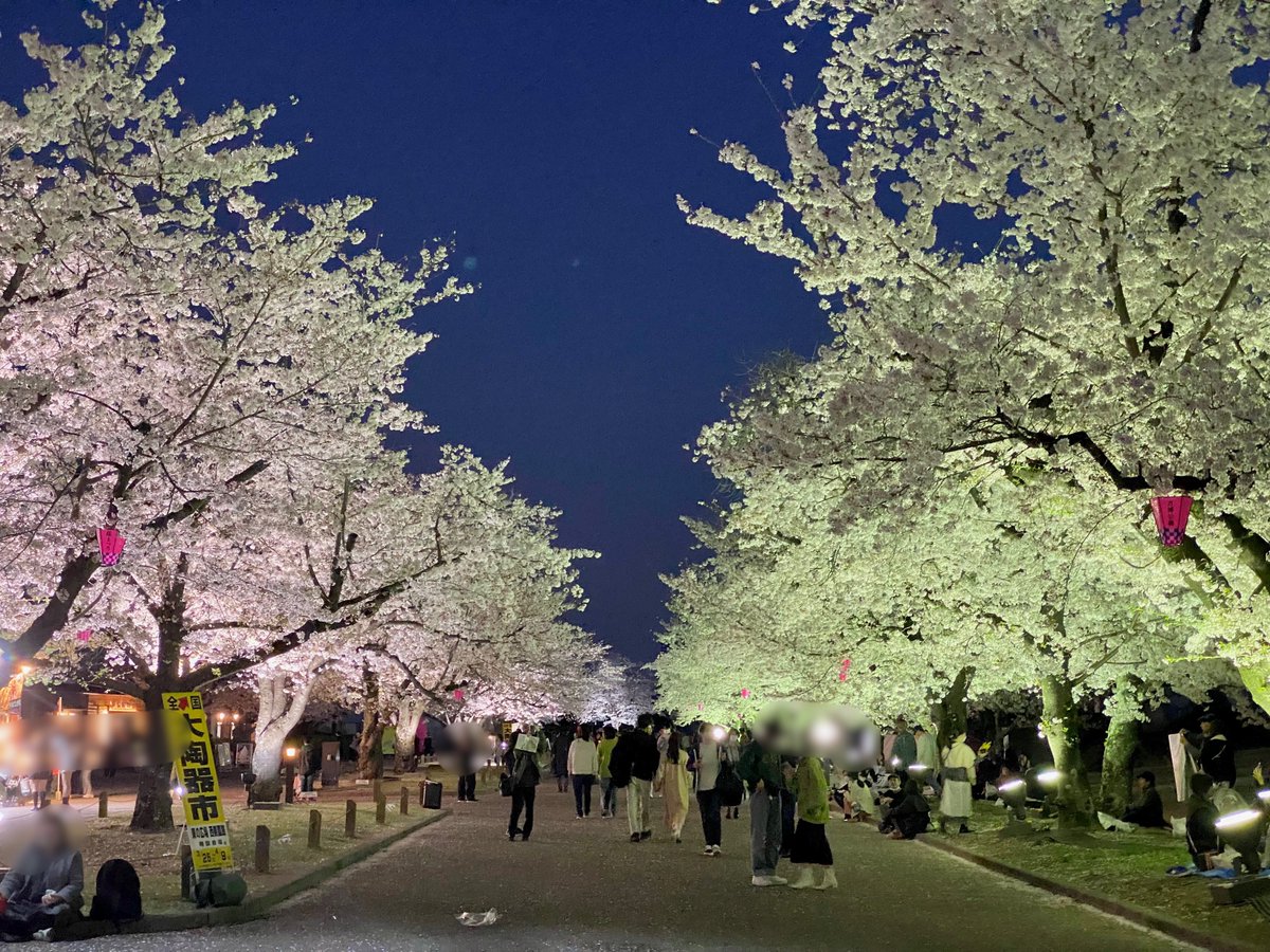 enjoy_expo's tweet image. 3年ぶりの桜ライトアップ✨昼間とは違った幻想的な雰囲気が良いですね🌸
#万博記念公園
