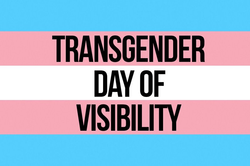 AdvWithPride's tweet image. It's #TransVisibilityDay today, which means all you trans adventurers have to roll your stealth checks with disadvantage 🏳️‍🌈 🏳️‍⚧️