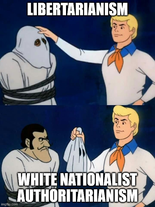 Pro Zombie Hunter tweet media