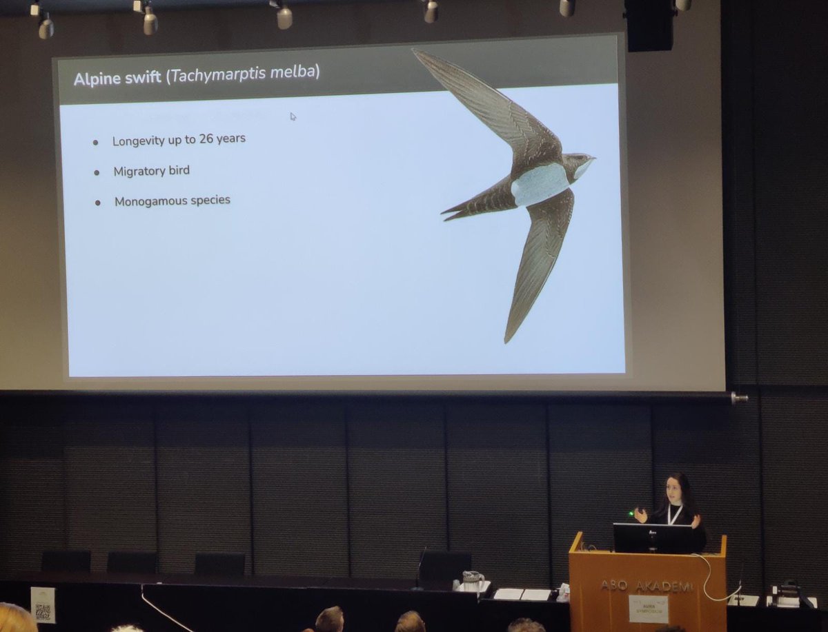 AURA Symposium tweet media