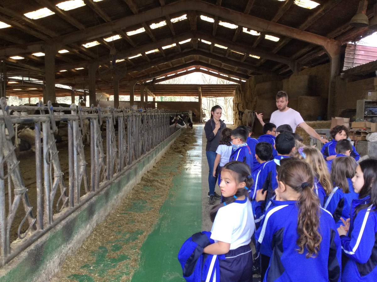 SPALEHENH's tweet photo. #lh2 Murrieta 🐄👌 https://t.co/OGLLRvGA9x