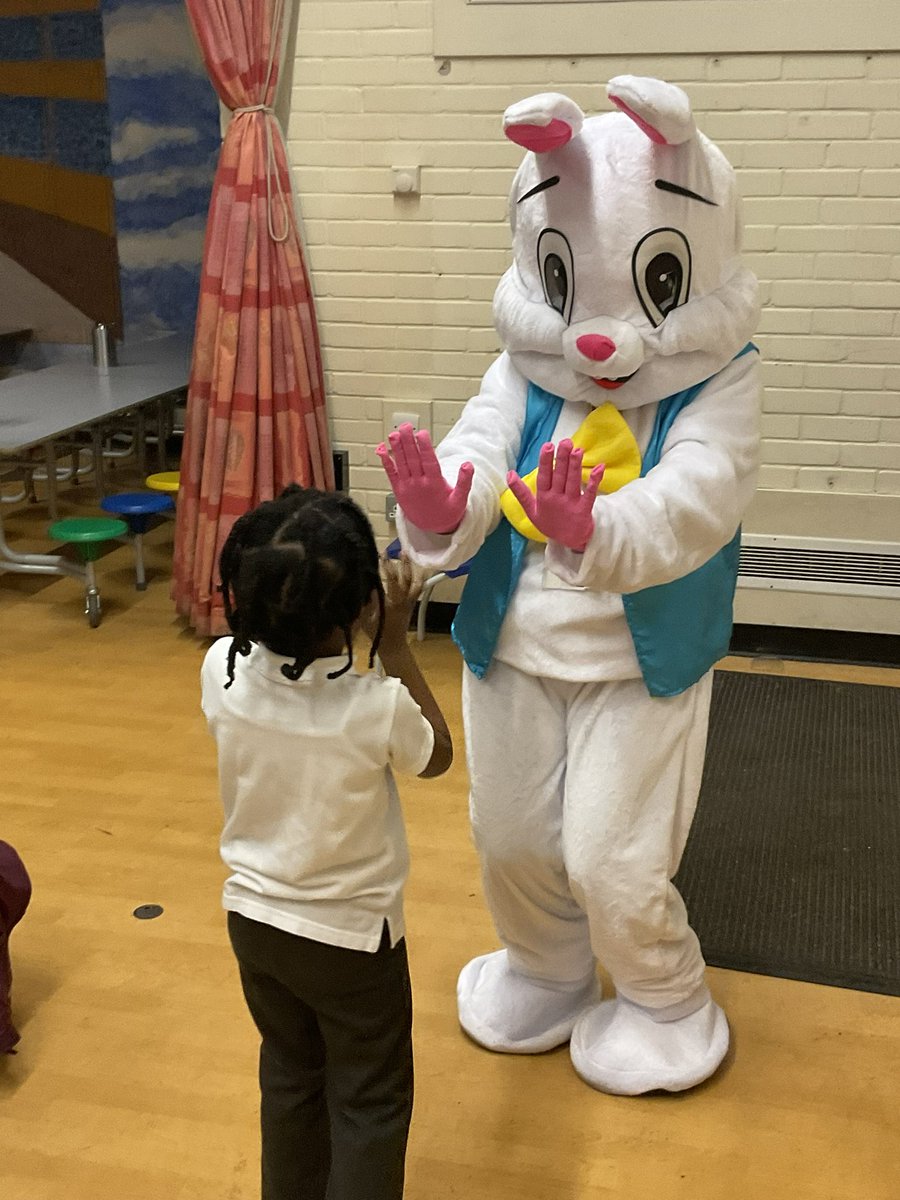 SpringhillPri's tweet image. Look who came to visit….🐰