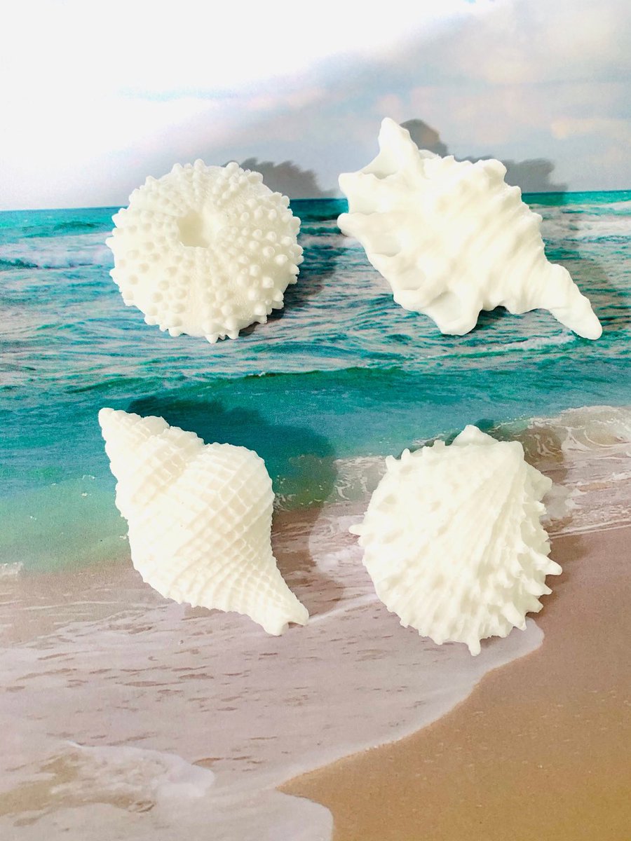 AlicesTreasureb's tweet photo. Excited to share this item from my #etsy shop: Seashell Soap set - Eucalyptus Soap Set - Seachells Soap - Shea Butter Soap -Shell Shape Soap - Ocean Theme Soap https://t.co/wg5bmxDULS
#NaturalSoaps #SheaButterSoaps #HandmadeSoaps #BeachHouseDecor #Soaps #Shells #EtsyShop #Etsy https://t.co/WVBl1qhPF2