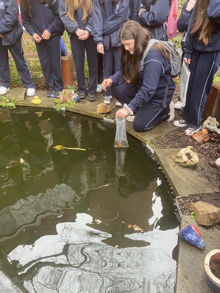 What a great morning ⁦@ManorHseRaheny⁩ “Bring a 🐠 to school” for the First Years. Thank you Ms Dolan and Tom for organising it all