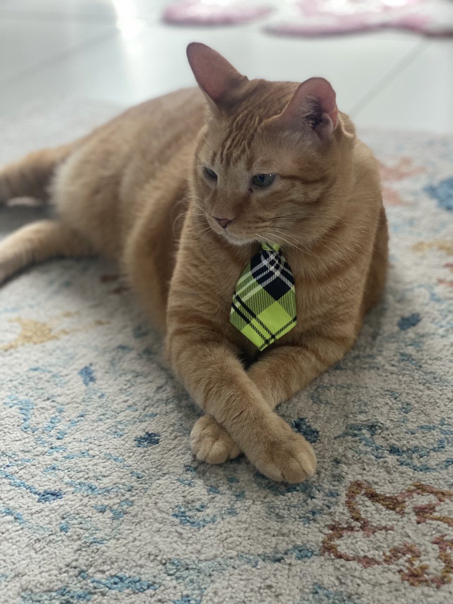 warnabilla's tweet image. Dengar kata Petronas bagi 7 bulan bonus. Ada jawatan kosong untuk mascot tak? Bubble nak apply 👨🏽‍💼 #readyforwork