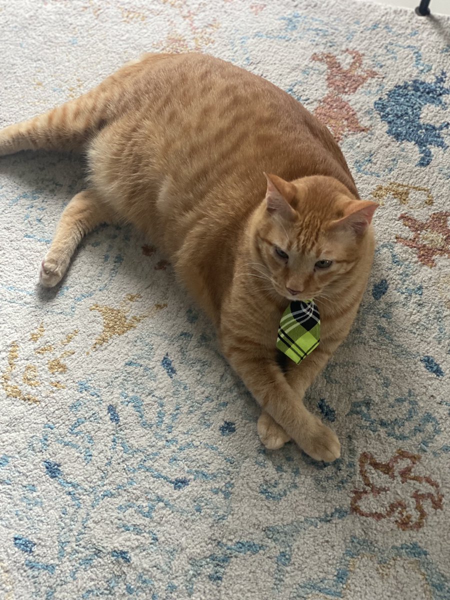 warnabilla's tweet image. Dengar kata Petronas bagi 7 bulan bonus. Ada jawatan kosong untuk mascot tak? Bubble nak apply 👨🏽‍💼 #readyforwork