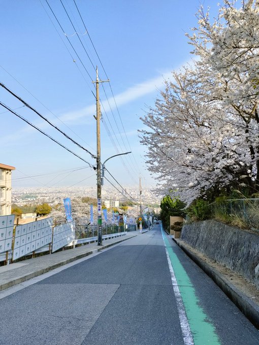 ハルヒの聖地巡礼、春の北高前ステキだったなぁ〜また行きたいな 