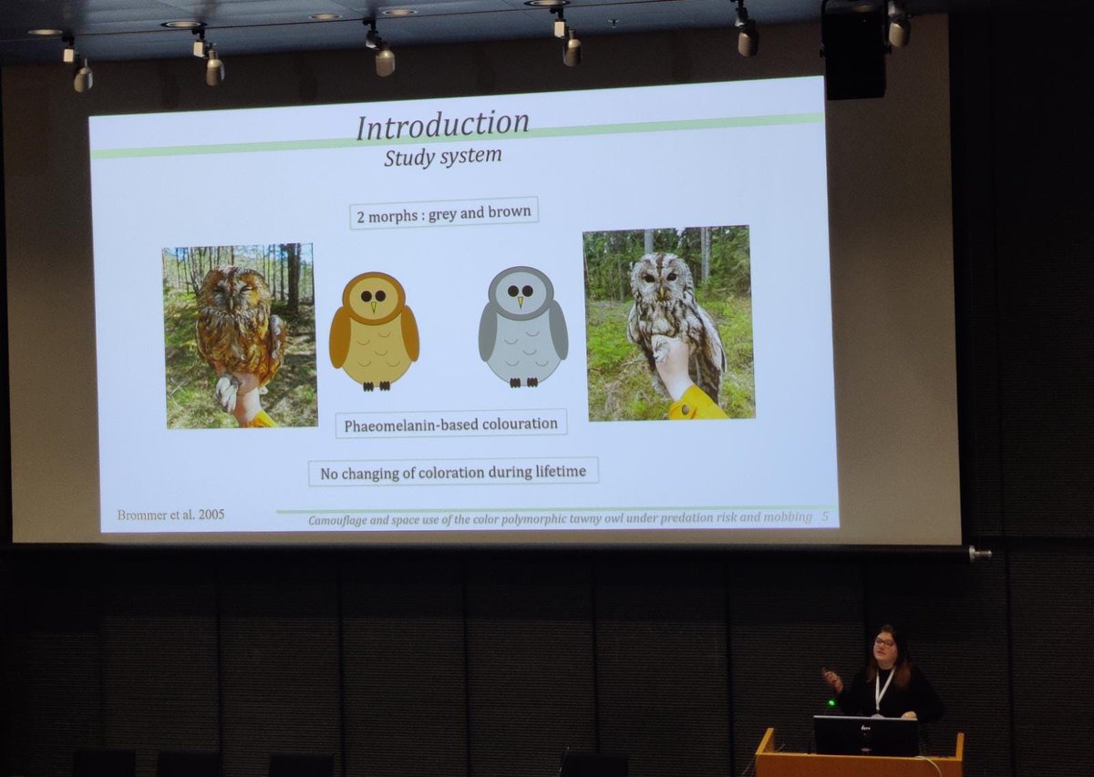 AURA Symposium tweet media