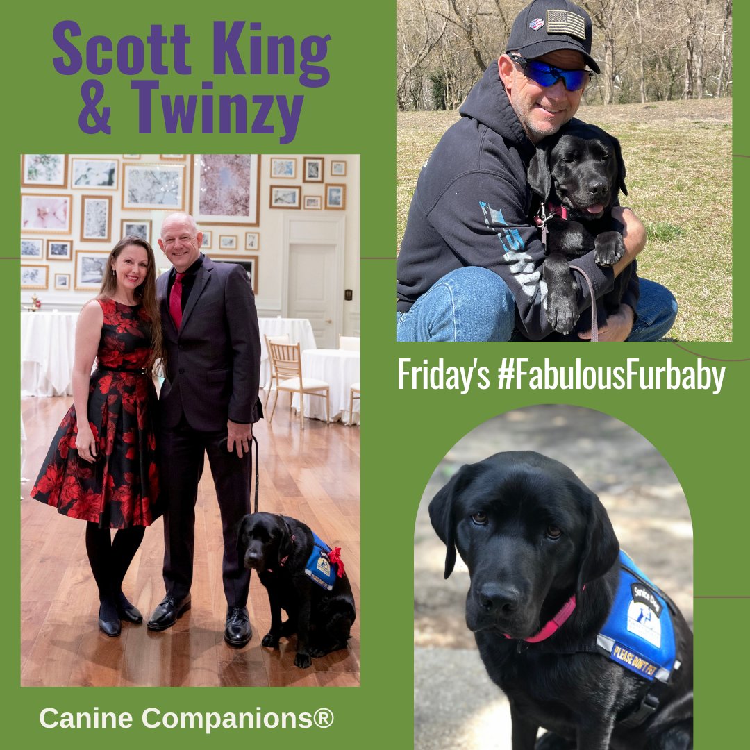 #HLAA #FurbabyFriday: 

Meet Ret #ArmyVeteran Scott King @Knifesedge13 & #ServiceDog Twinzy, a female lab/golden mix x-trained by @canineorg for #PTSD & #Hearing. He has #NoiseInducedHearingLoss from #DesertStorm.

#ThanksForYourService
#CanineCompanions
#Accessibility
#Furbaby