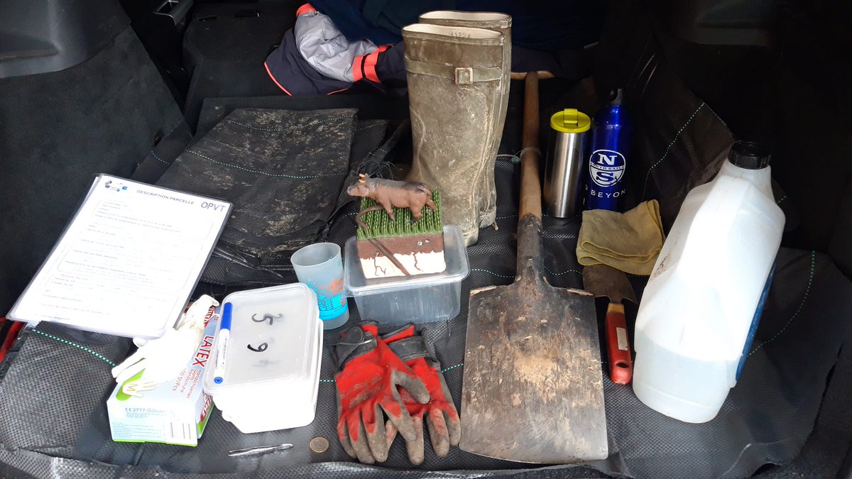 Paul Henning Krogh tweet media