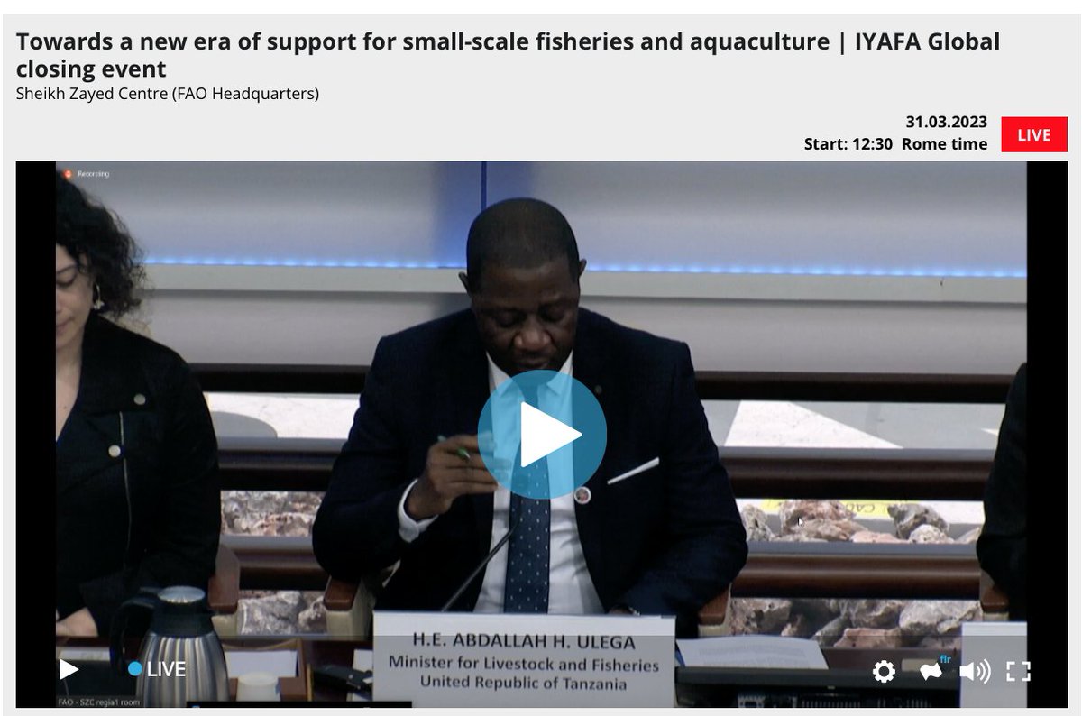 #IYAFA2022 is closing but the work in support of #smallscale fishers, fish #farmers and fish workers must continue, dixit #Tanzania's Minister for Livestock and Fisheries. Count on us to be part of these efforts! 
#empowerment #recognition #SSF #women
bit.ly/3KkCICu