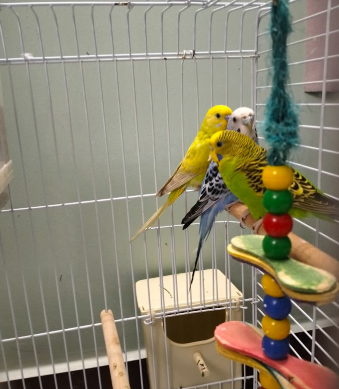 LSYTStaff's tweet photo. Met @ParrotXP today
Feeling good https://t.co/wGMKULBc5I