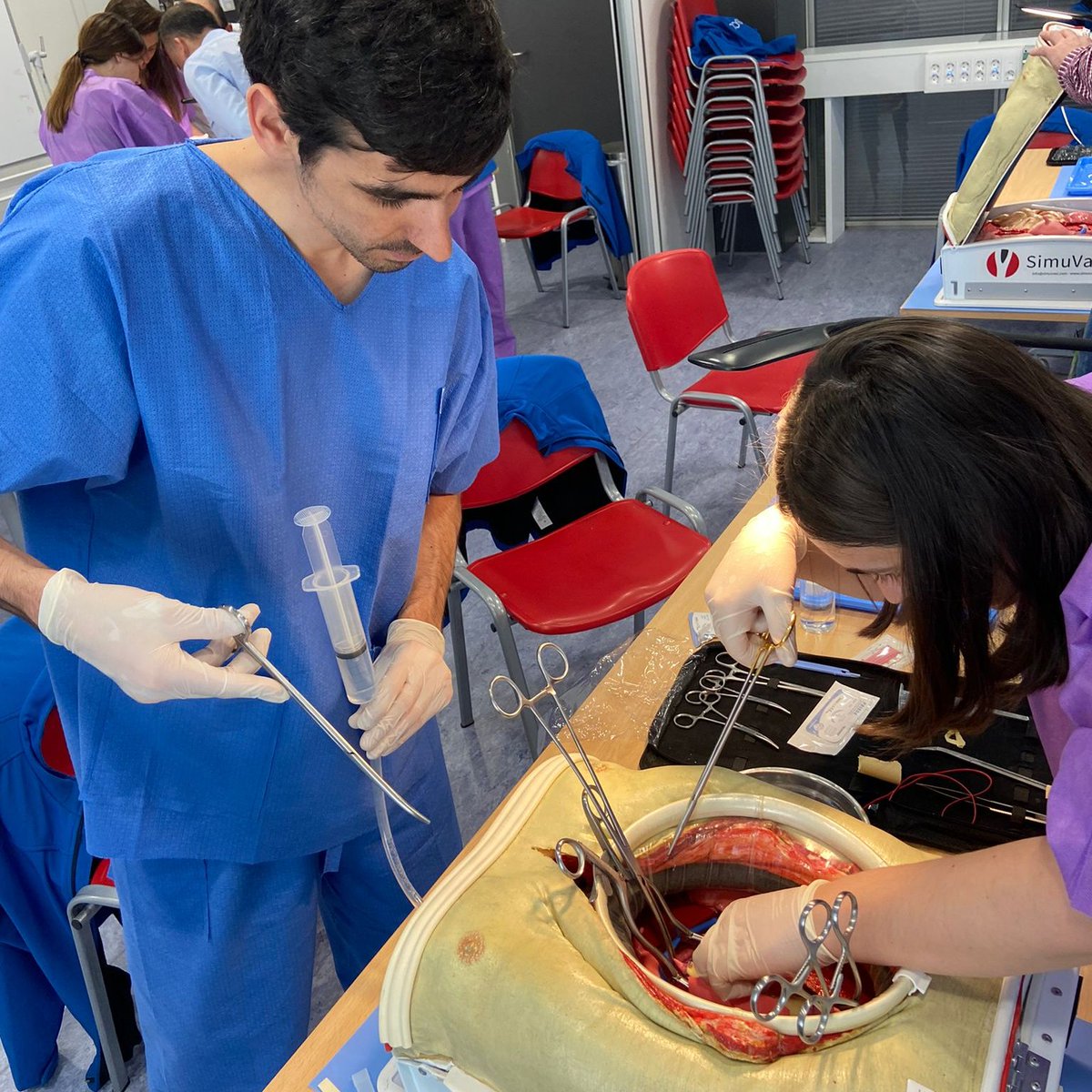 🧑‍⚕️El II curs #V360 de #simulació vascular ha enfrontat durant 3⃣ dies a joves cirurgians a situacions reals amb casos simulats a quiròfan, l'àrea de <a href="/SimulacioVH/">Vall d'Hebron Centre de Simulació Clínica Avançada</a>, dissecció, l’estabulari i un scape room.

Descobreix més sobre aquest curs 🌍 carboni zero
👇
vhc.cat/IICursV360