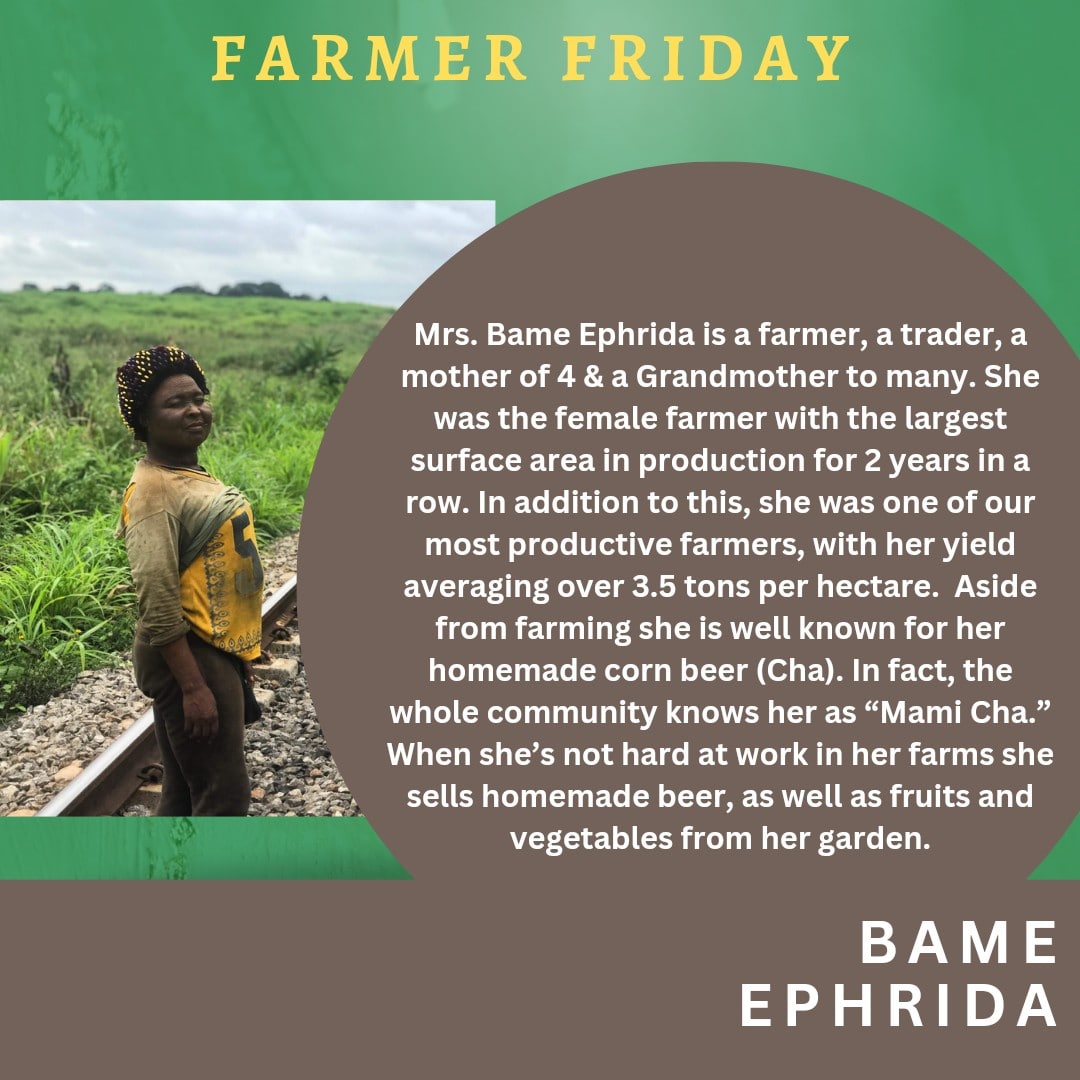 To close our #womenhistorymonth, we decided to profile Mami Bame Ephrida for our #femalefarmerfriday. Mrs Ephrida, fondly called “Mami Cha,” was one of the best farmers in our program.  She is a true force to be reckoned with. 

#womanswork #grassland #farmtotable #africancuisine