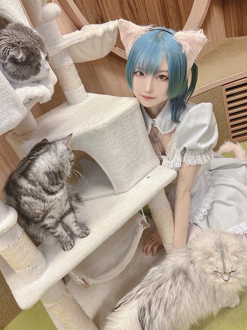 Twitterのコスプレ画像16