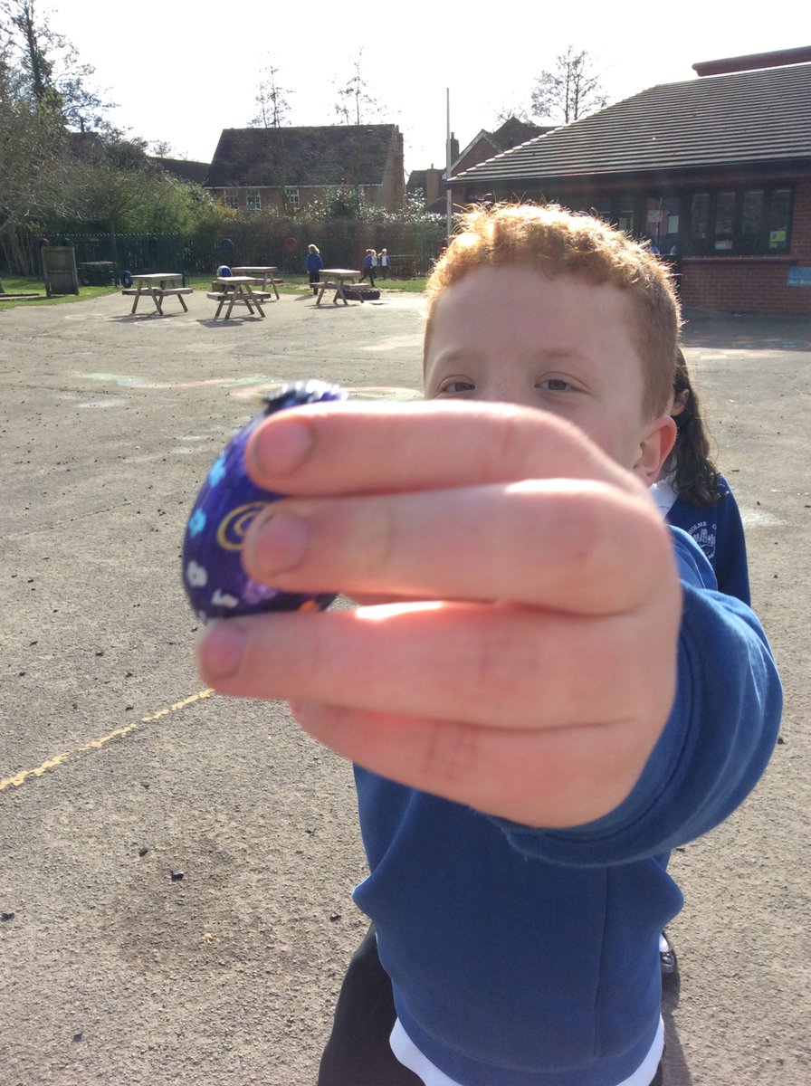 HOSM Primary tweet media