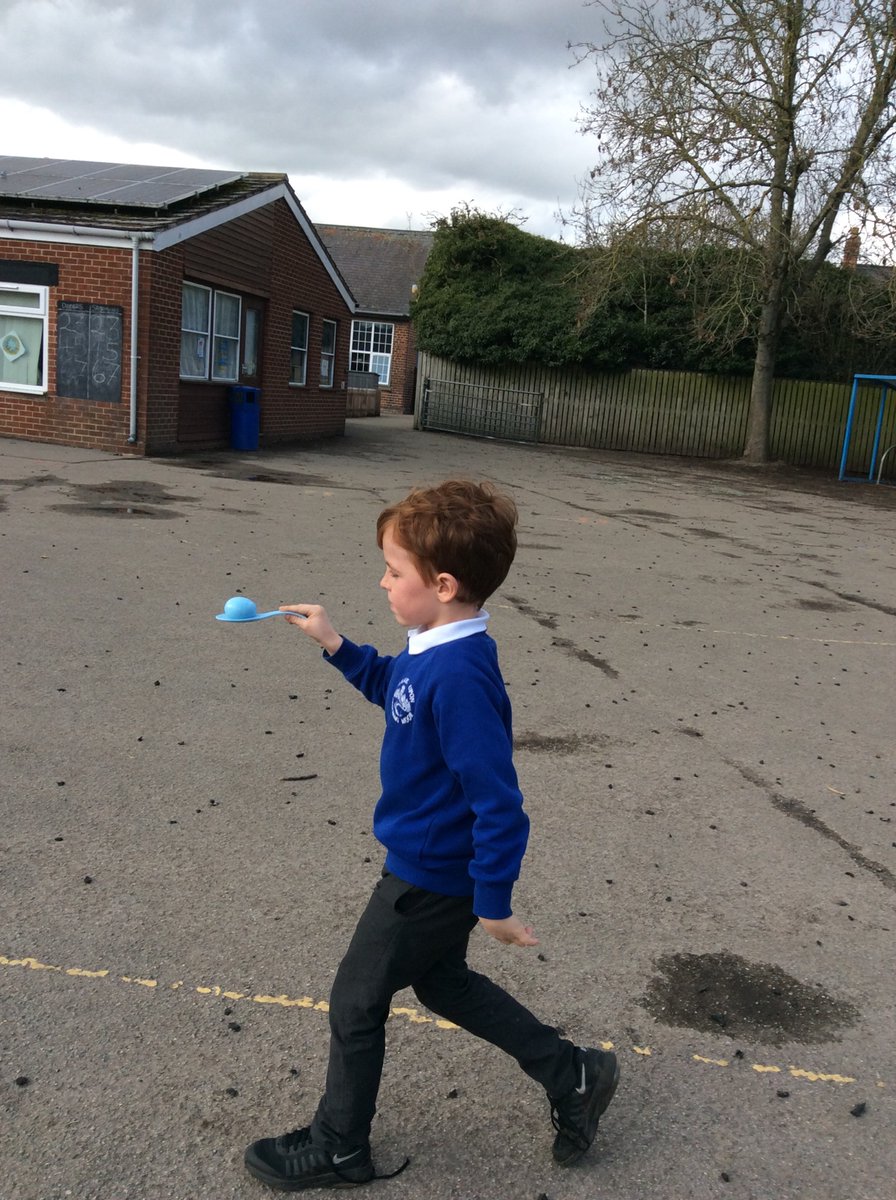 HOSM Primary tweet media