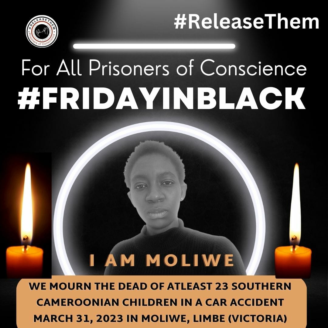 Release Them tweet media