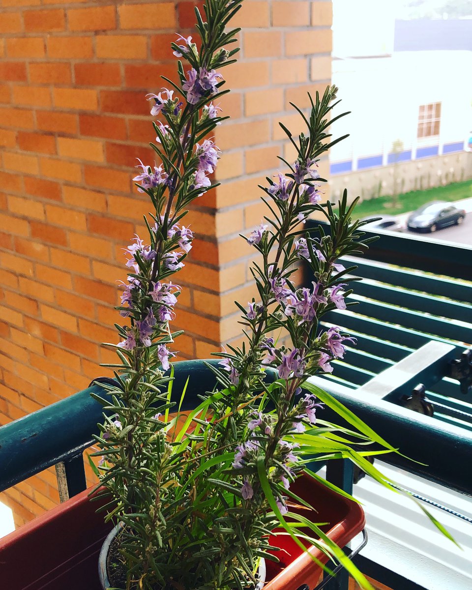 Joder qué bonito se está poniendo el cabrón!