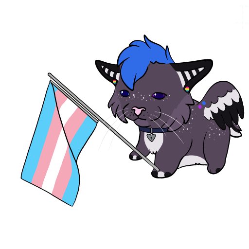 13problemcat's tweet image. A very happy #TransDayofVisability to everyone!! 💕

This is my first TDOV after my top surgery last year. I feel so free &amp;amp; finally comfortable in my own skin!!

Please never forget that you matter, and even though times are scary right now, we will always persevere.