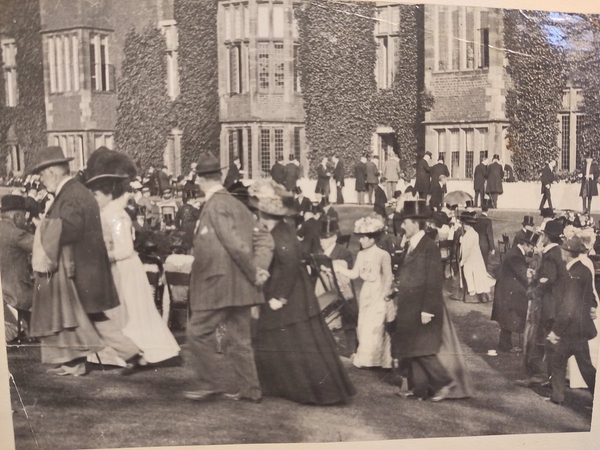 Kitty Ross tweet media