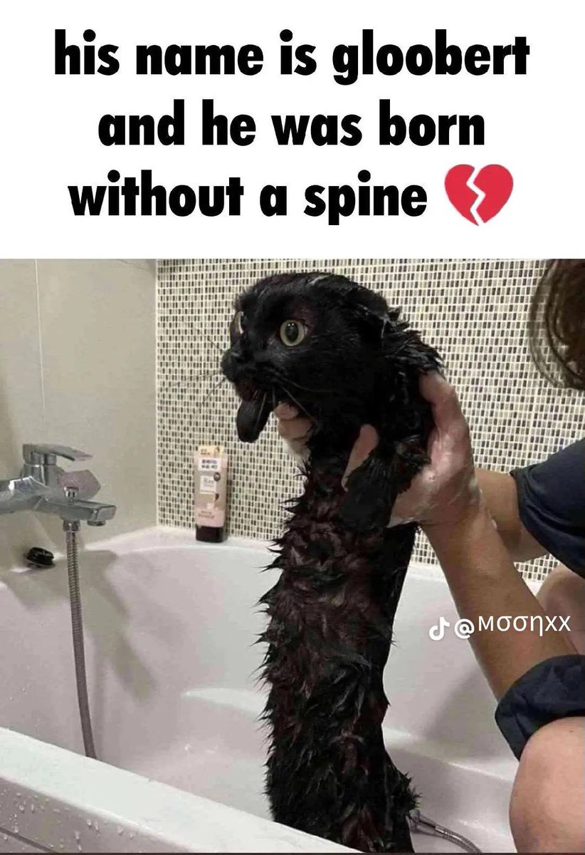 Crogunk2's tweet image. 