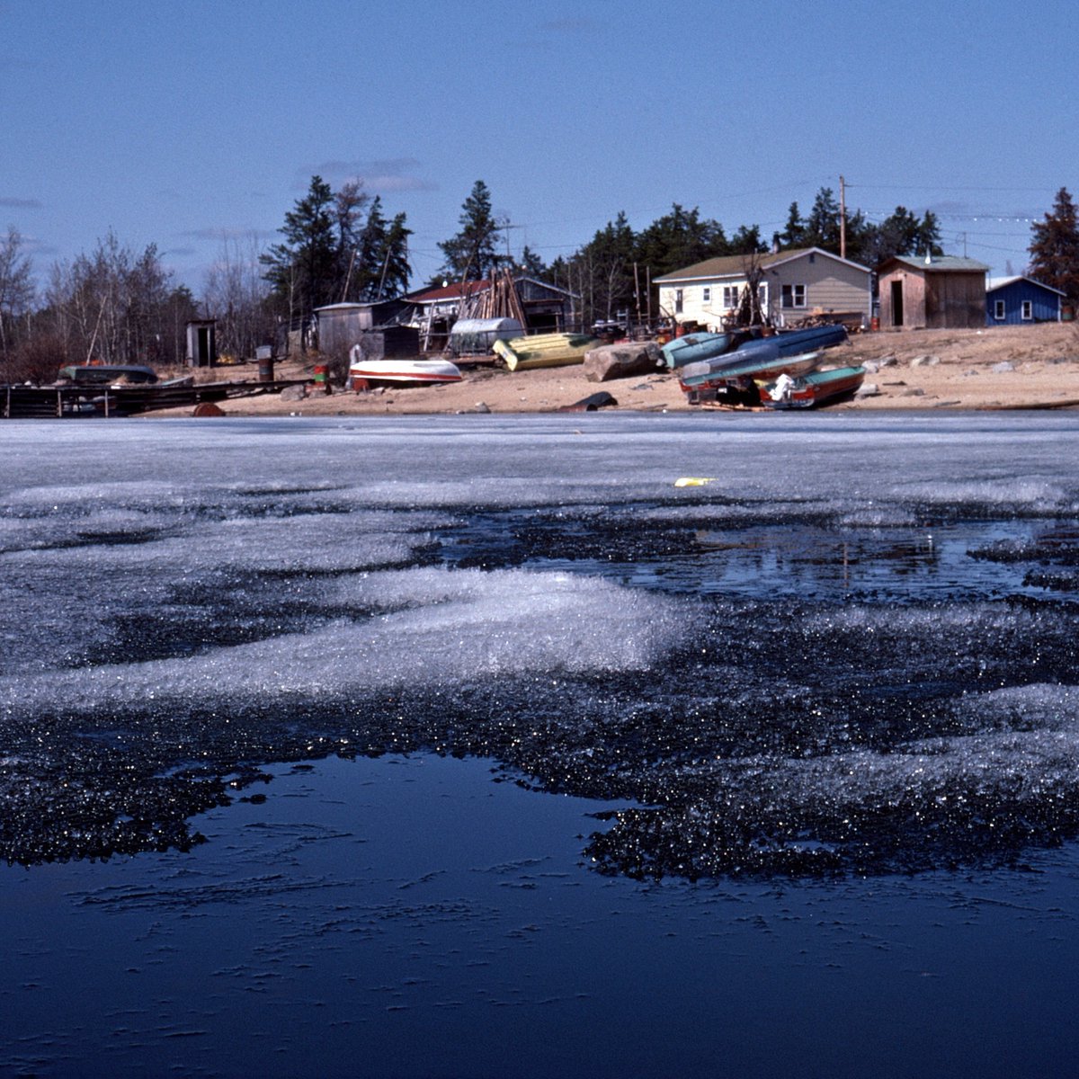 slfnha's tweet image. SLFNHA recognizes National Indigenous Languages Day today, March 31st. This is a day to recognize and celebrate the rich and diverse language across Kiiwetinoong. Remember to Love Your Language l Saa-kih-toon-kitanishinabemowin l ᕊᑭᑐᓐ ᑭᑕᐊᓂᔑᓇᐯᒧᐎᓐ
#indigenouslanguage