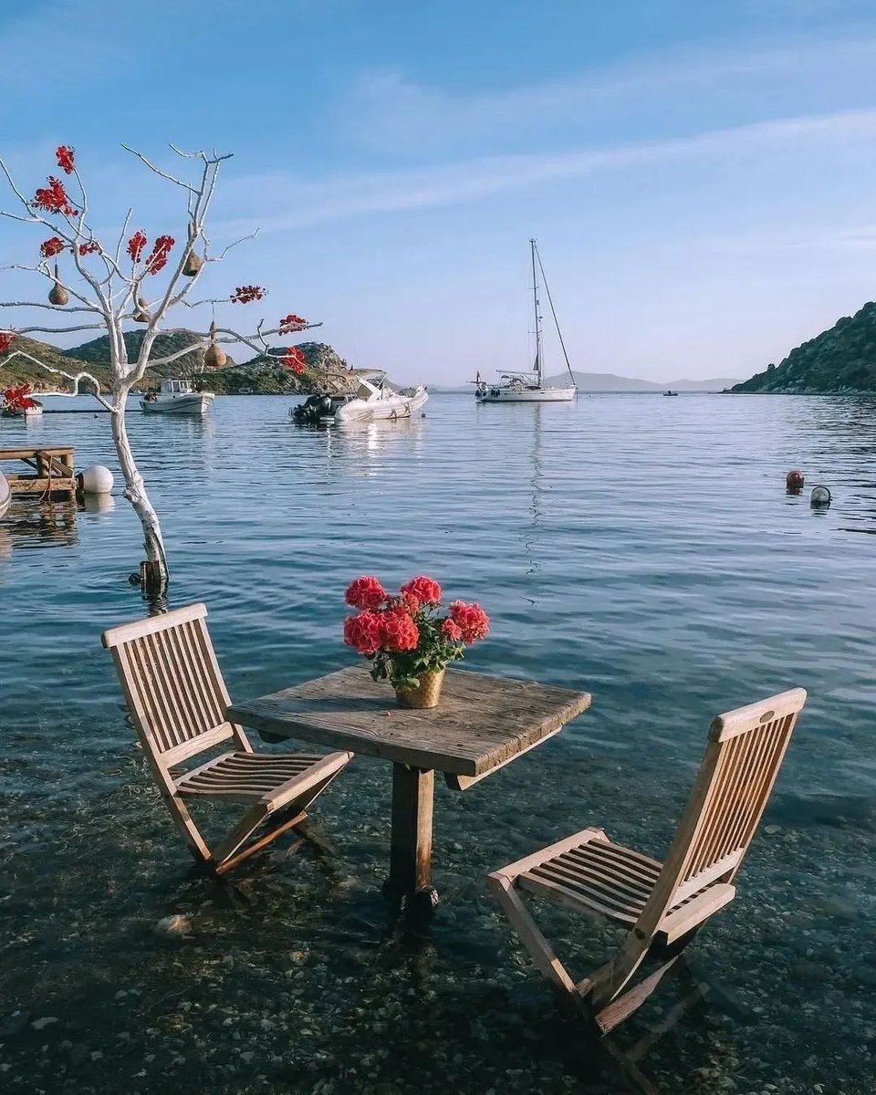 Bu romantik atmosfere bayıldık! 🌸 

#keşifönerisi: Gümüşlük

📸 <a href="/gocebey/">Göcebe Yetkin</a>

📍Gümüşlük, Muĝla

Yazı özleyenler kimler? ☝️ 

#gümüşlük #muğla #öncetürkiyeyikeşfet